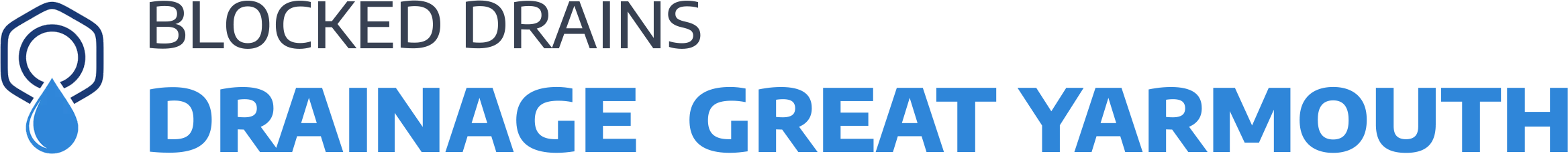 website logo